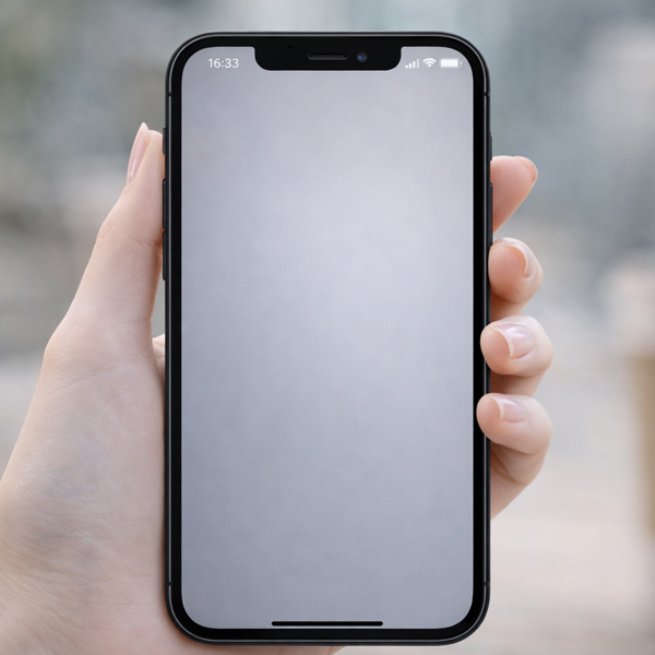 公式LINEを友だち追加